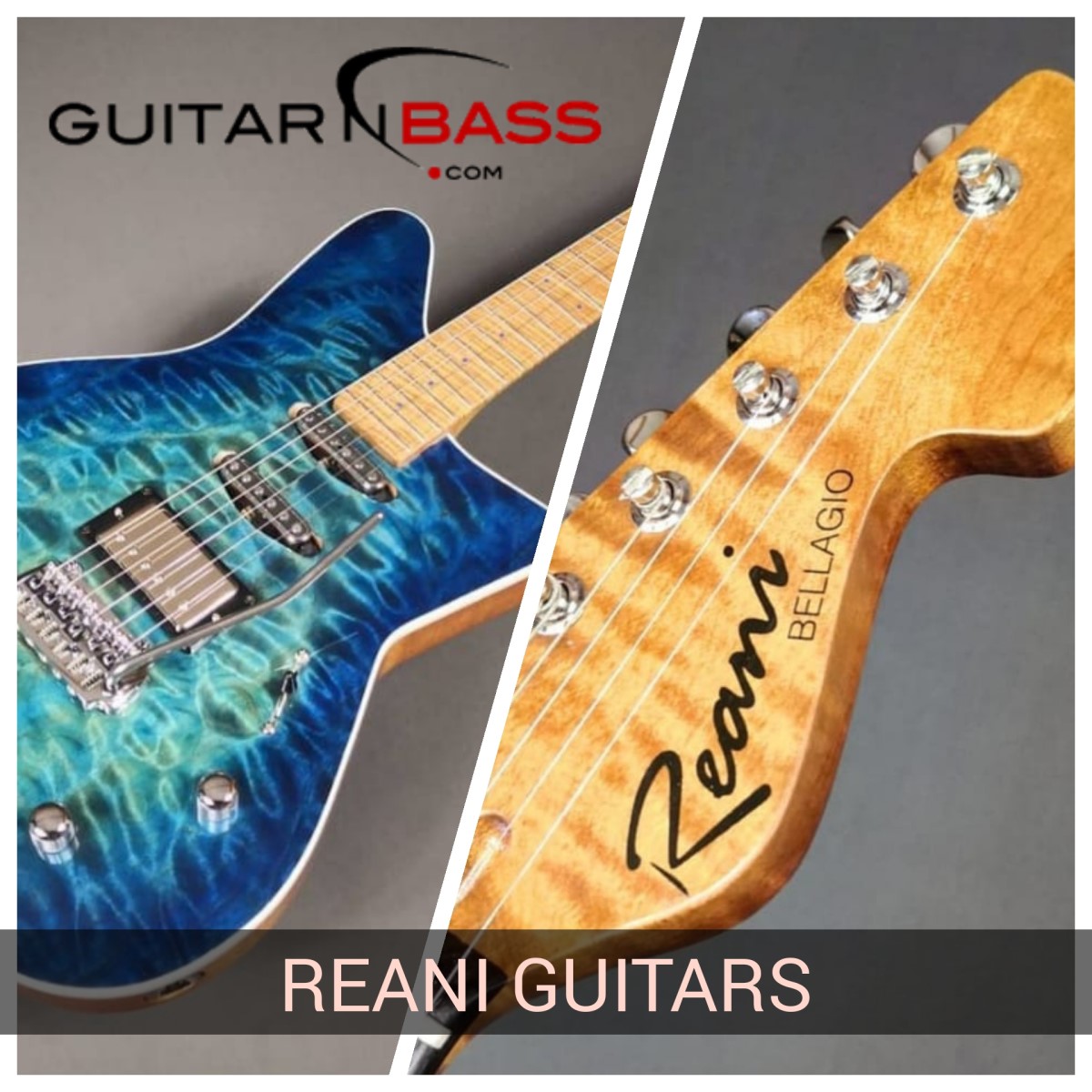 Reani Guitars